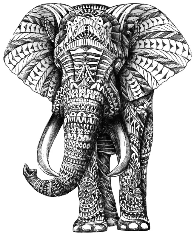 Ornate Elephant Print ($62 and up)