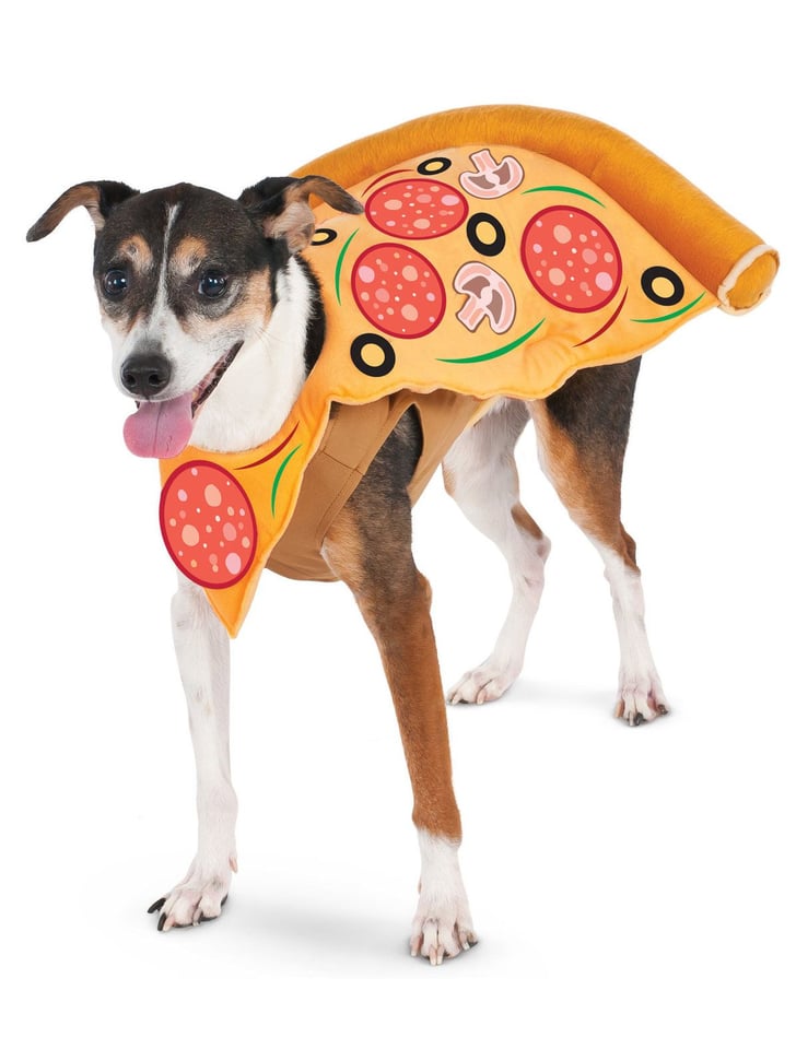 halloween barney costume for oblong dogs