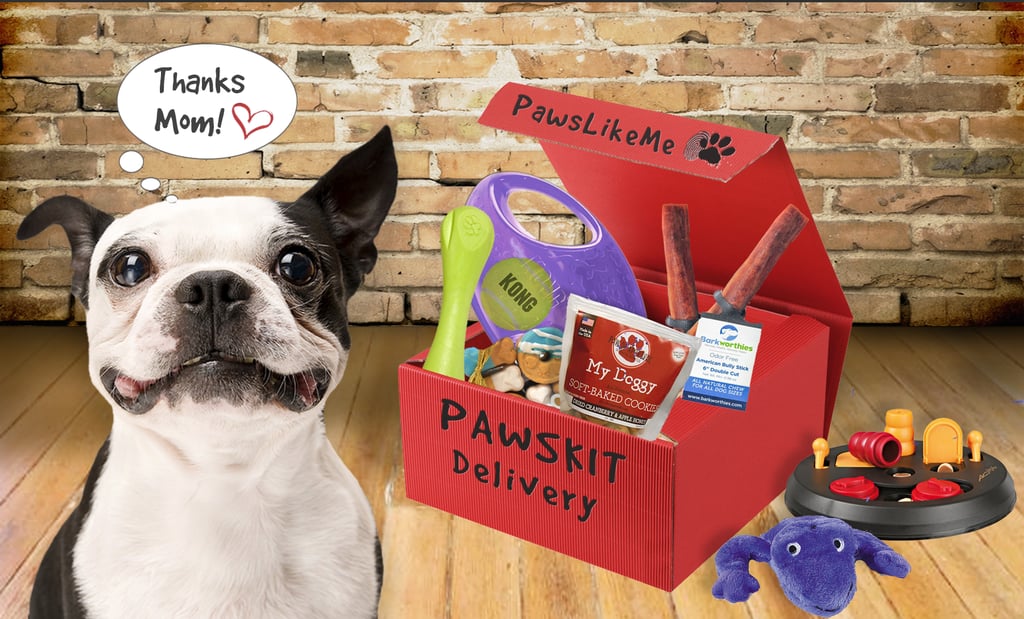 We are obviously fans of monthly subscription boxes, so when we heard about a new one that is customizable to our dogs, we were thrilled. After creating a profile for your pup, you can order a Pawskit ($20) monthly subscription box that will include toys, treats, and goodies tailored to your pet. There are 12 core personality profiles, so there is pretty much something for everyone!