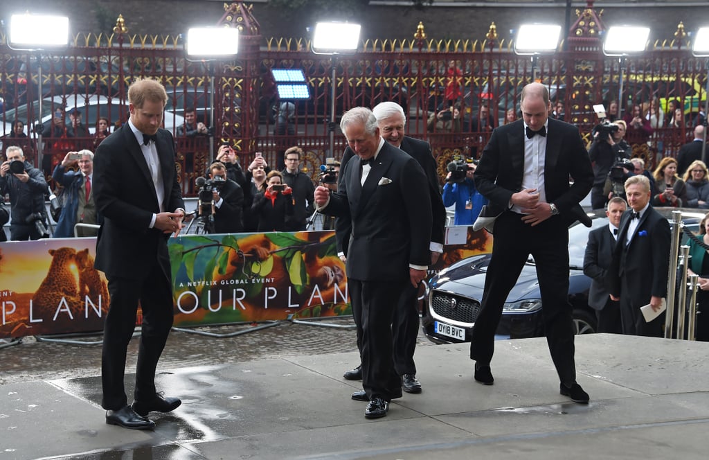 Harry, William, and Charles at Our Planet Premiere 2019