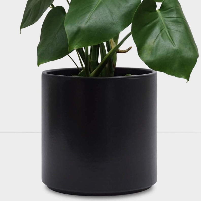 Peach & Pebble Indoor Plant Pot