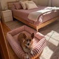 This Chic, Corgi-Approved Dog Bed Blends In Perfectly With My Room Decor