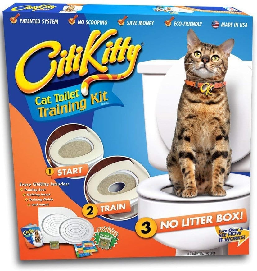 How to house train a kitten litter box top