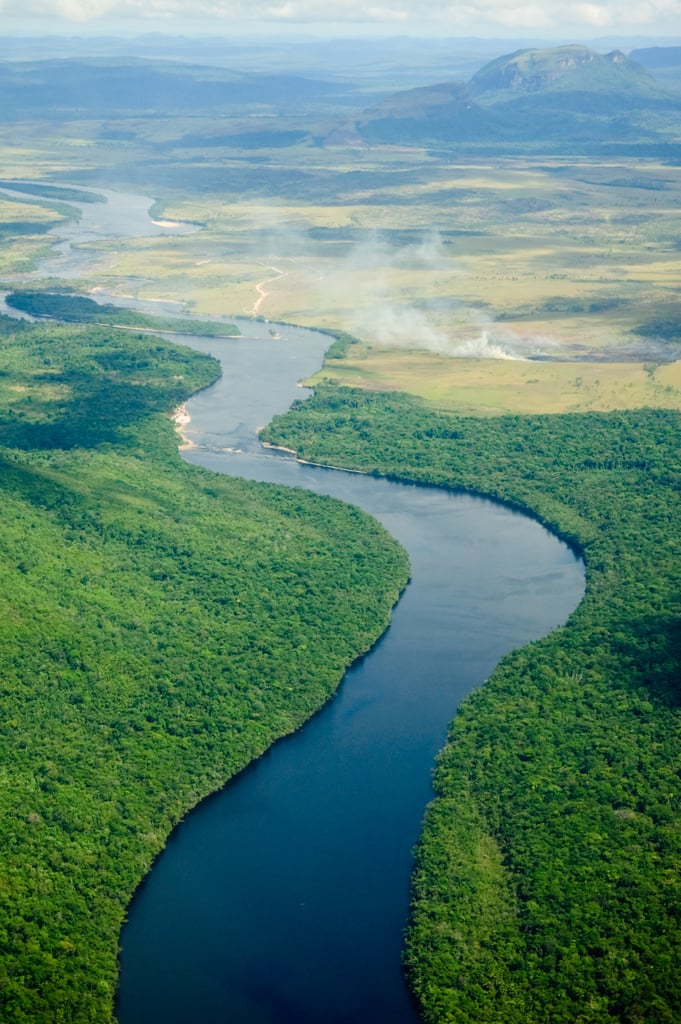 Cruise Down the Amazon River