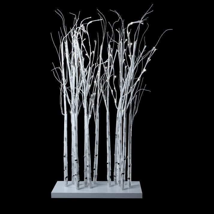 Tree Branches