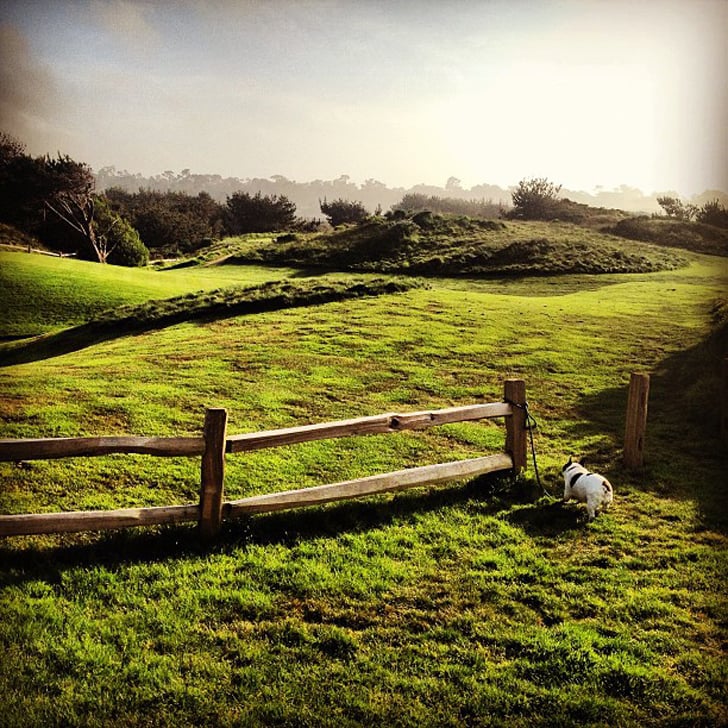 Del Monte Forest Pebble Beach Food & Wine Festival POPSUGAR Food Photo 3