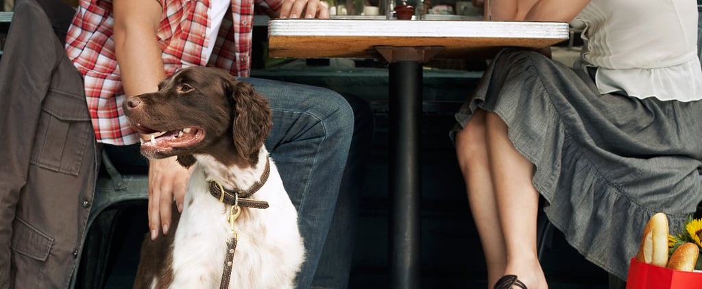 Dining Out With Your Dog