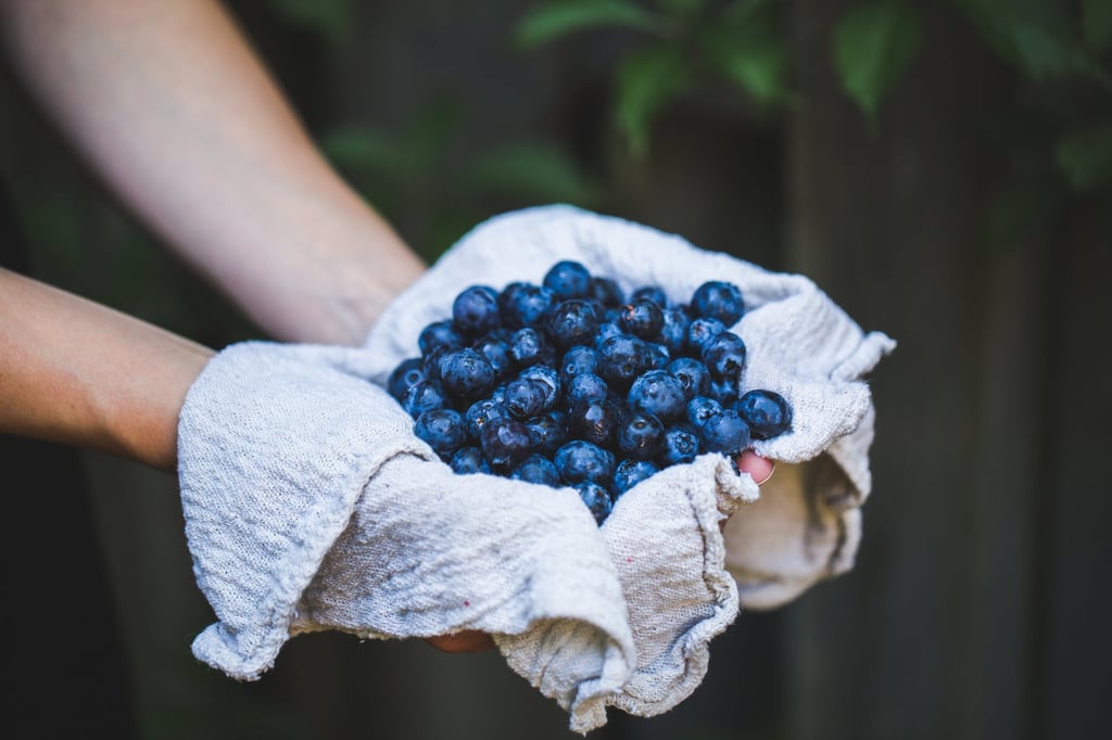 Wild Blueberries