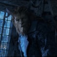 Beauty and the Beast: The Sad Story Behind the Beast's Parents