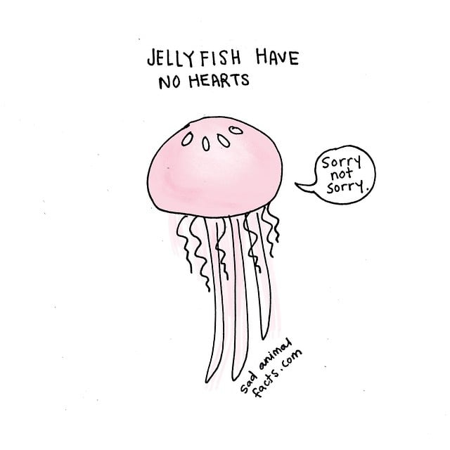 This might explain why jellyfish are so ready to sting you.