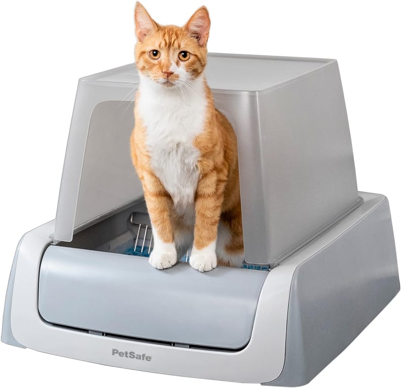 Best Automatic Self-Cleaning Litter Box