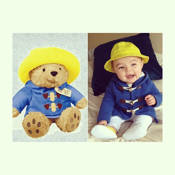 Paddington Bear