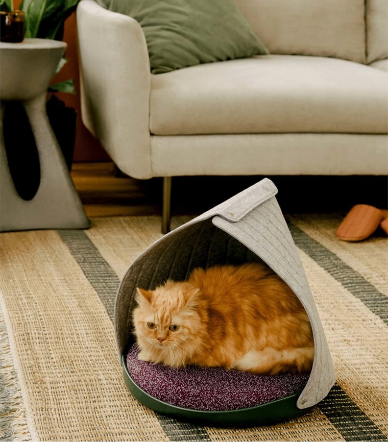 Cat Person Canopy Bed