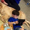 This Mom Got Everything She'd Dreamed of When Her Boy With Autism Met His New Dog