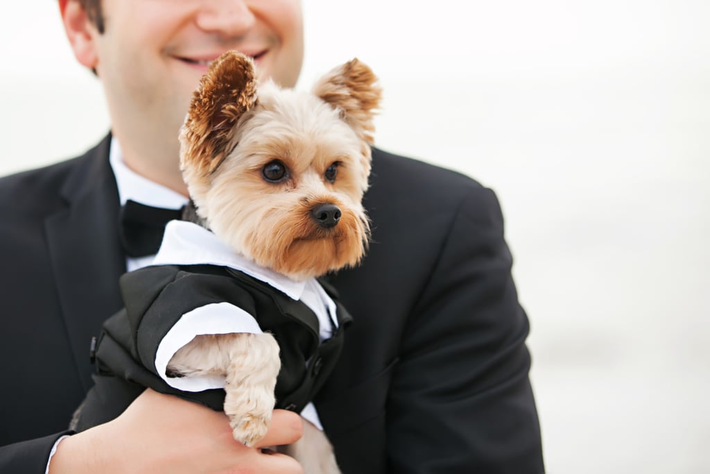 Dogs in Weddings