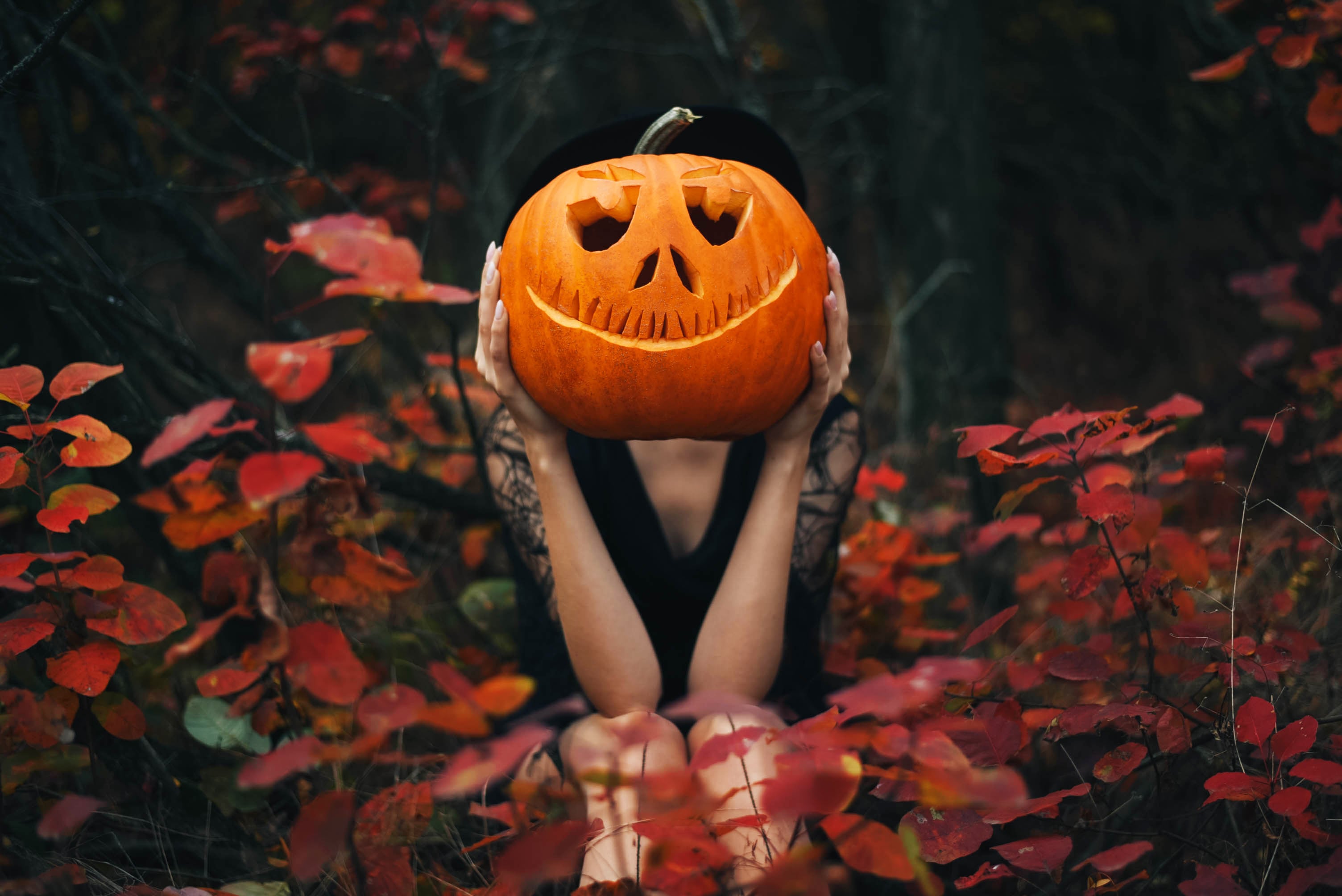 Pumpkin-Pop-Play, your school's ultimate Halloween day guide!