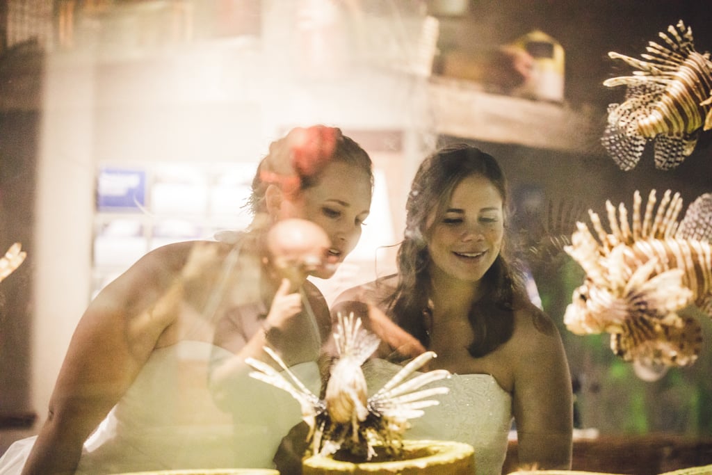 Aquarium Wedding Ideas