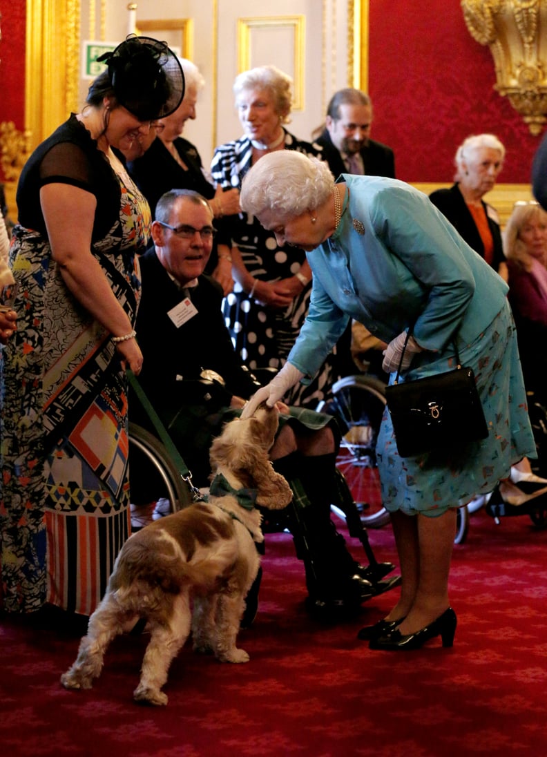 Least: When She Knelt Down to Pet This Dog