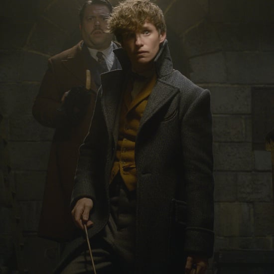Fantastic Beasts and Where to Find Them Sequel Details