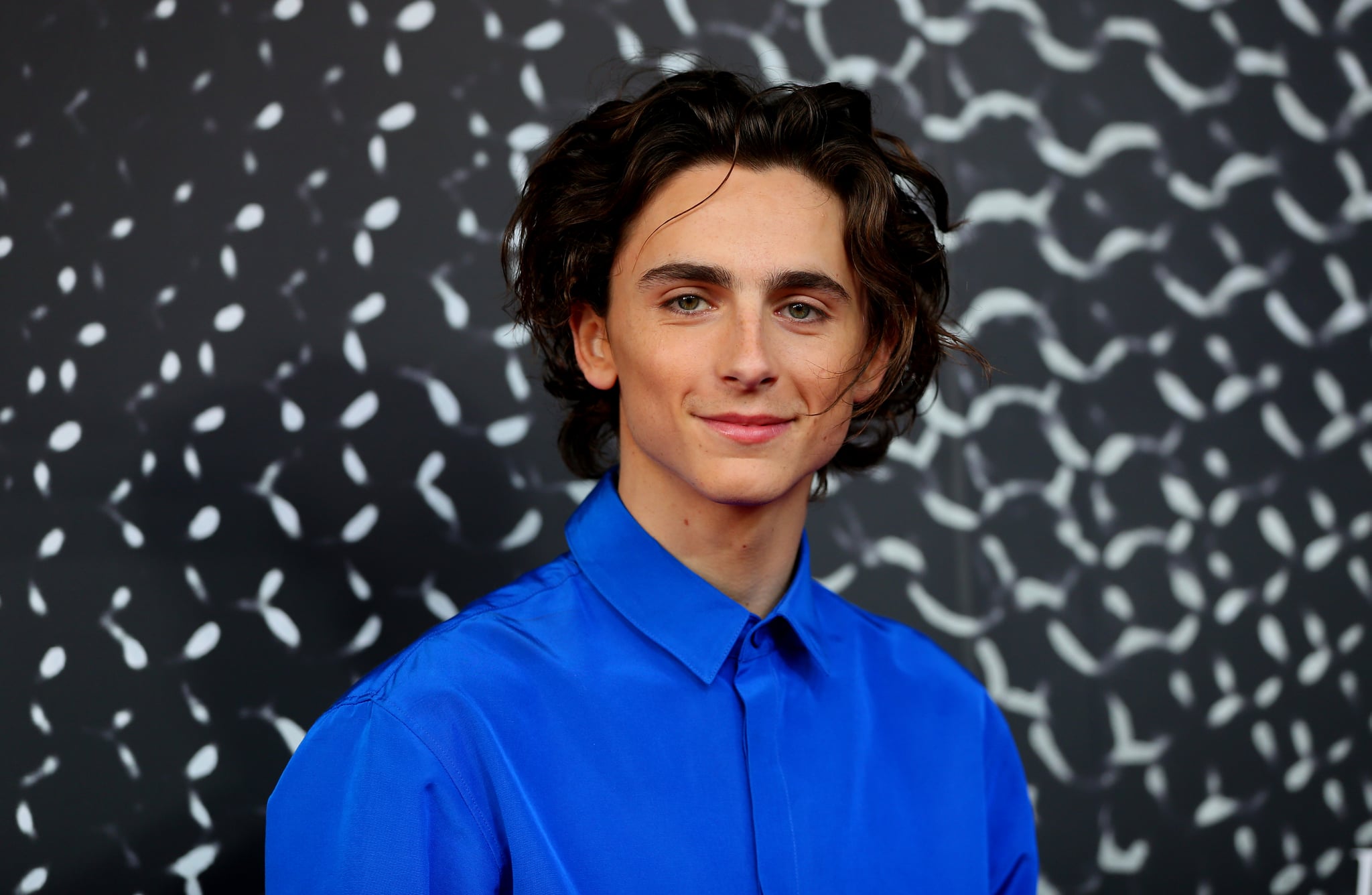 SYDNEY, AUSTRALIA - OCTOBER 10: Timothee Chalamet attends the Australian premiere of THE KING at Ritz Cinema on October 10, 2019 in Sydney, Australia. (Photo by Don Arnold/WireImage)