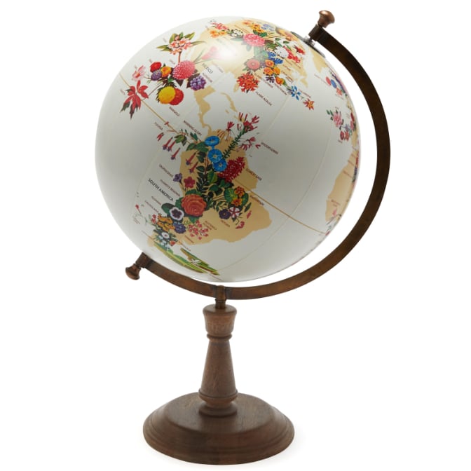 World Map of Flowers