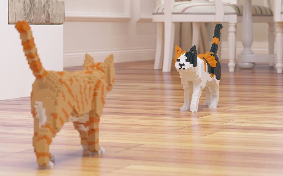 Blocks That Let You Build a Cat