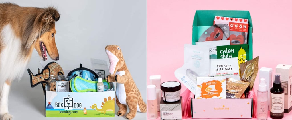 Best Subscription Boxes on Amazon