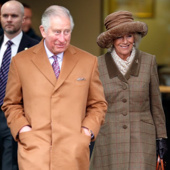 Camilla and Prince Charles's Quotes About Each Other