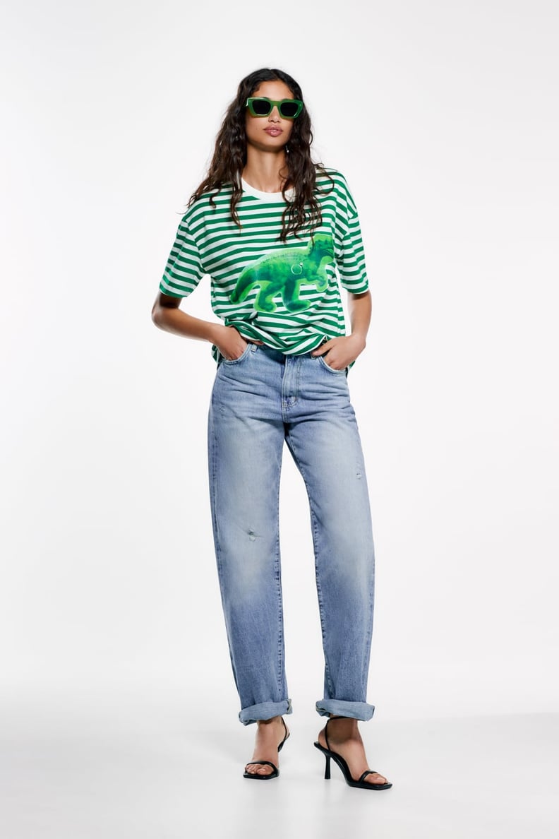 A Fun Tee: Zara Dinosaur Striped T-Shirt