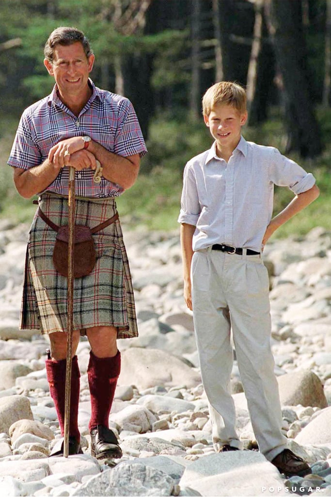 Prince Harry and Prince Charles Pictures