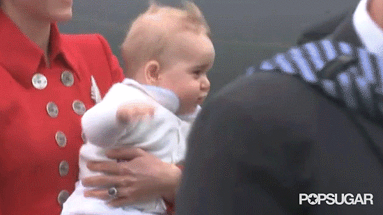 Those wiggles!