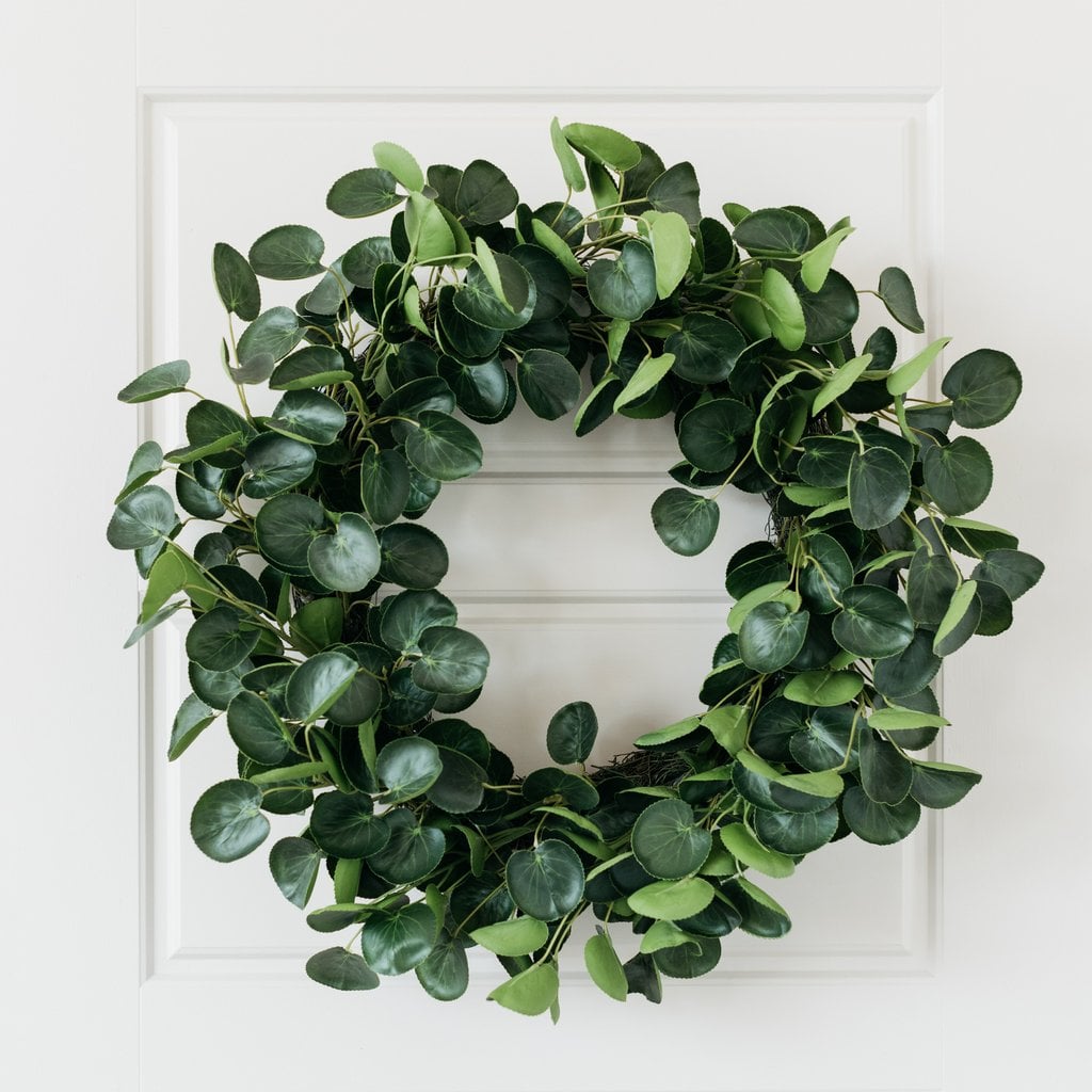 Pilea Wreath