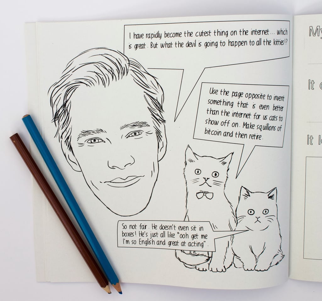 In which kittens protest Benedict's popularity. 
Source: I Love Mel
