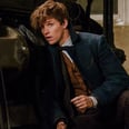 Who Plays Gellert Grindelwald in Fantastic Beasts? The Answer Will Surprise You