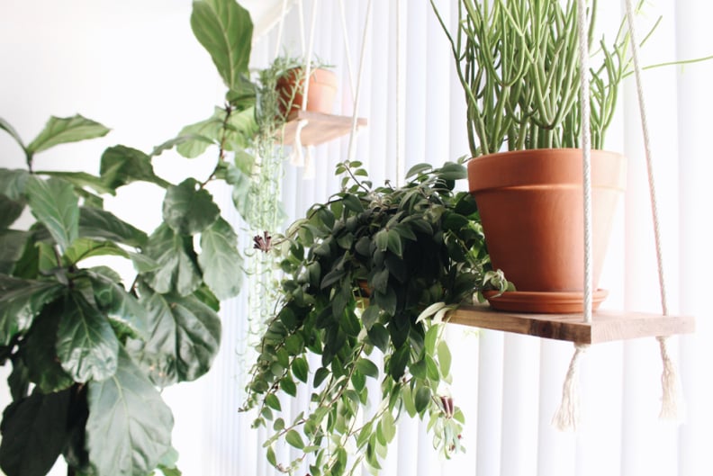 DIY Plant Swing