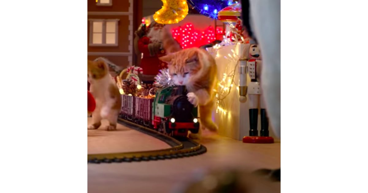 Temptations Cat Christmas Commercial Popsugar Pets
