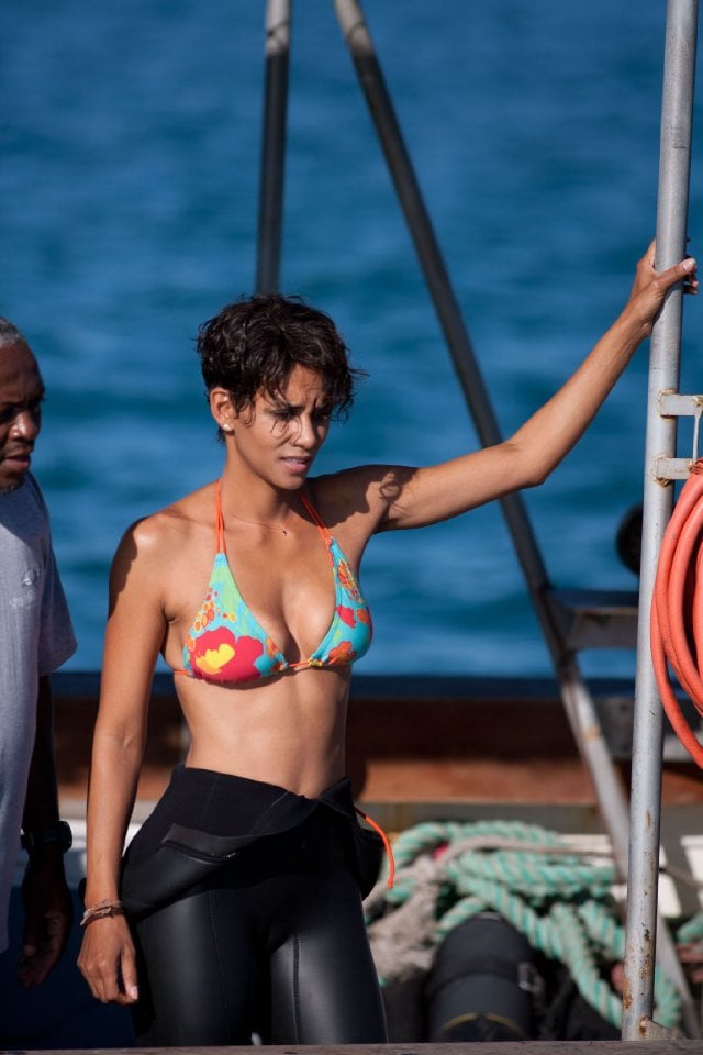 Halle Berry, Dark Tide