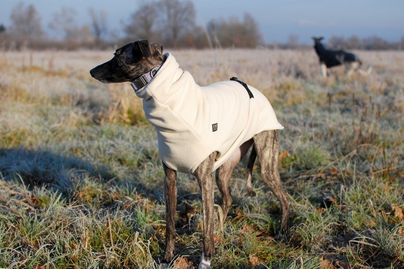 Winter Dog Coat