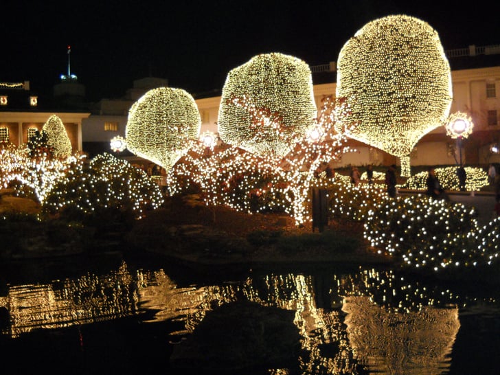 Gaylord Opryland's A Country Christmas in Nashville Best Holiday