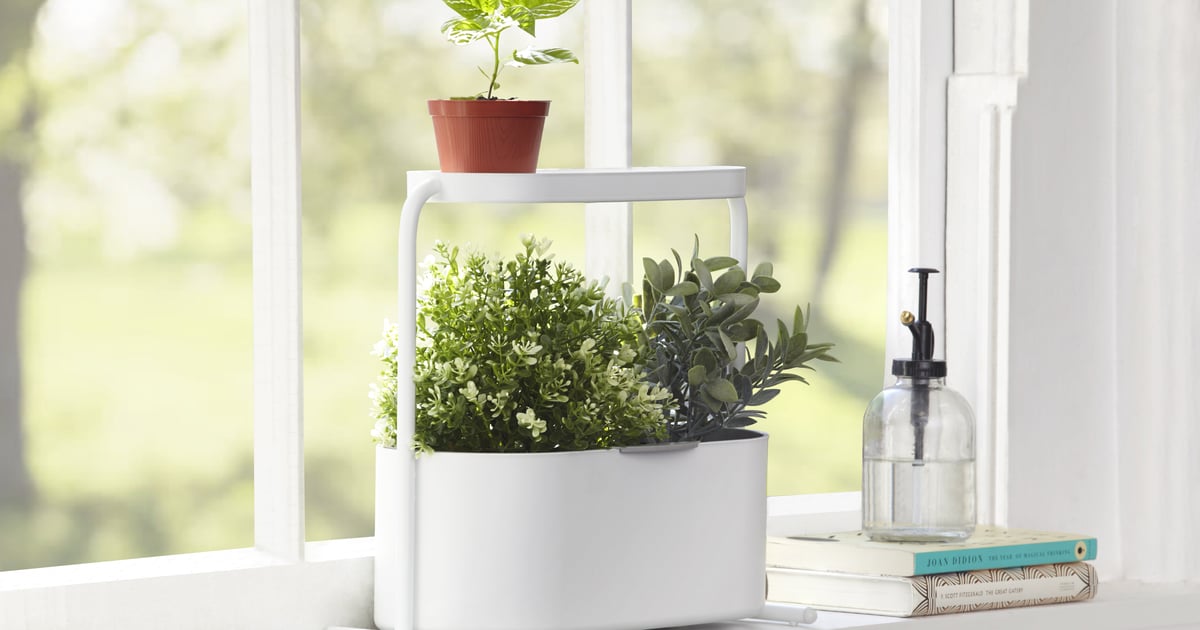 The Best Indoor Garden Kits Popsugar Home