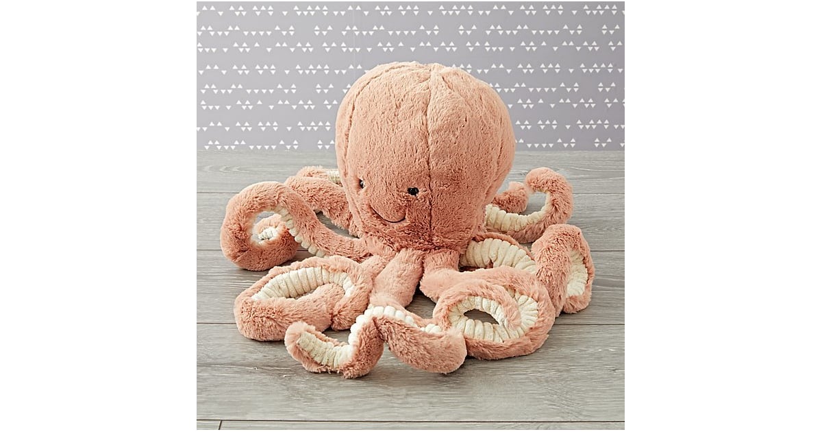 small jelly cat octopus