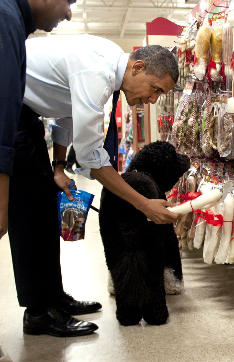 Picking out a bone for Bo in 2011.