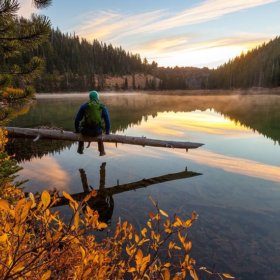 Pictures of Nature in the Fall