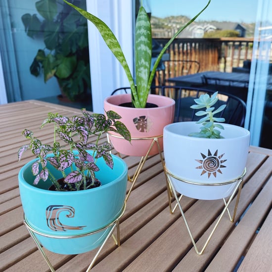 Cute Indoor Planters at Target | Editor Review 2021