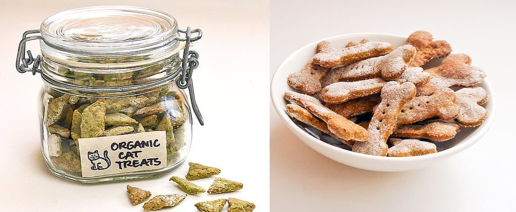 Pet-Friendly Recipes