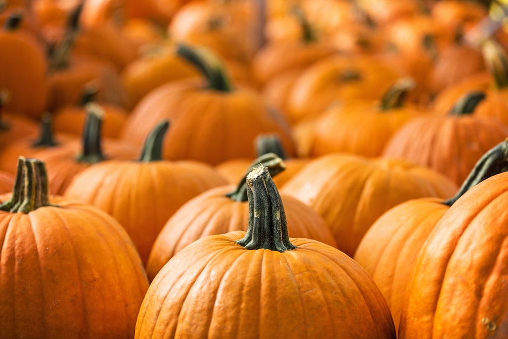 Pumpkin