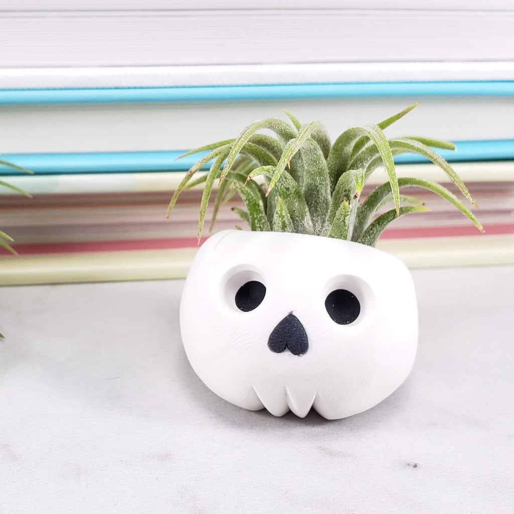 Skeleton Hand Air Plant Display, Beware: These Halloween-Themed Planters  From  Are Dangerously Cute