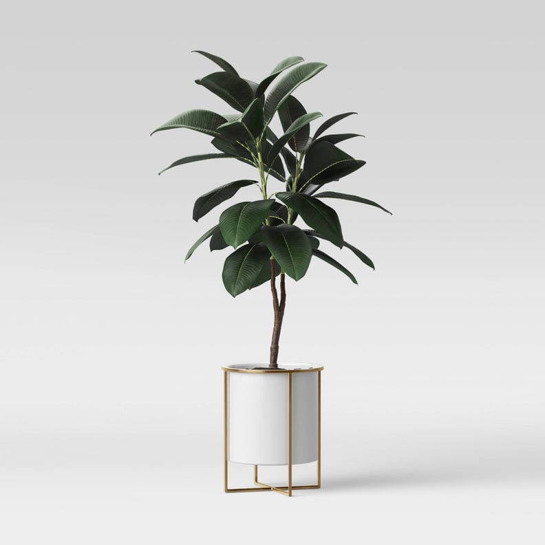 A Modern Indoor Planter