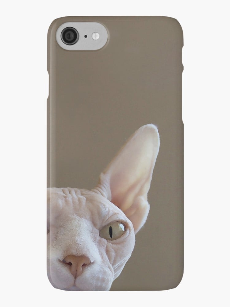 with this cat case