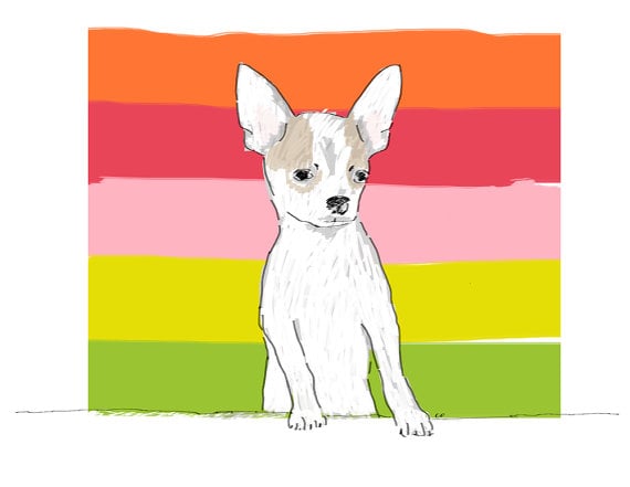 Stylish Pet Portraits Popsugar Pets
